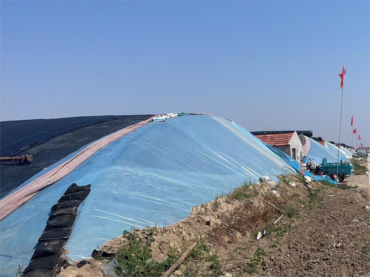 微信圖片_20230615134121 微信圖片_20230615134121